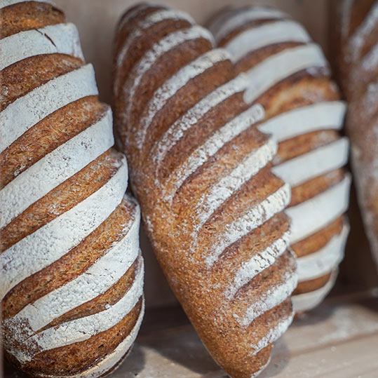 Formation boulangerie - Institut Culinaire de France